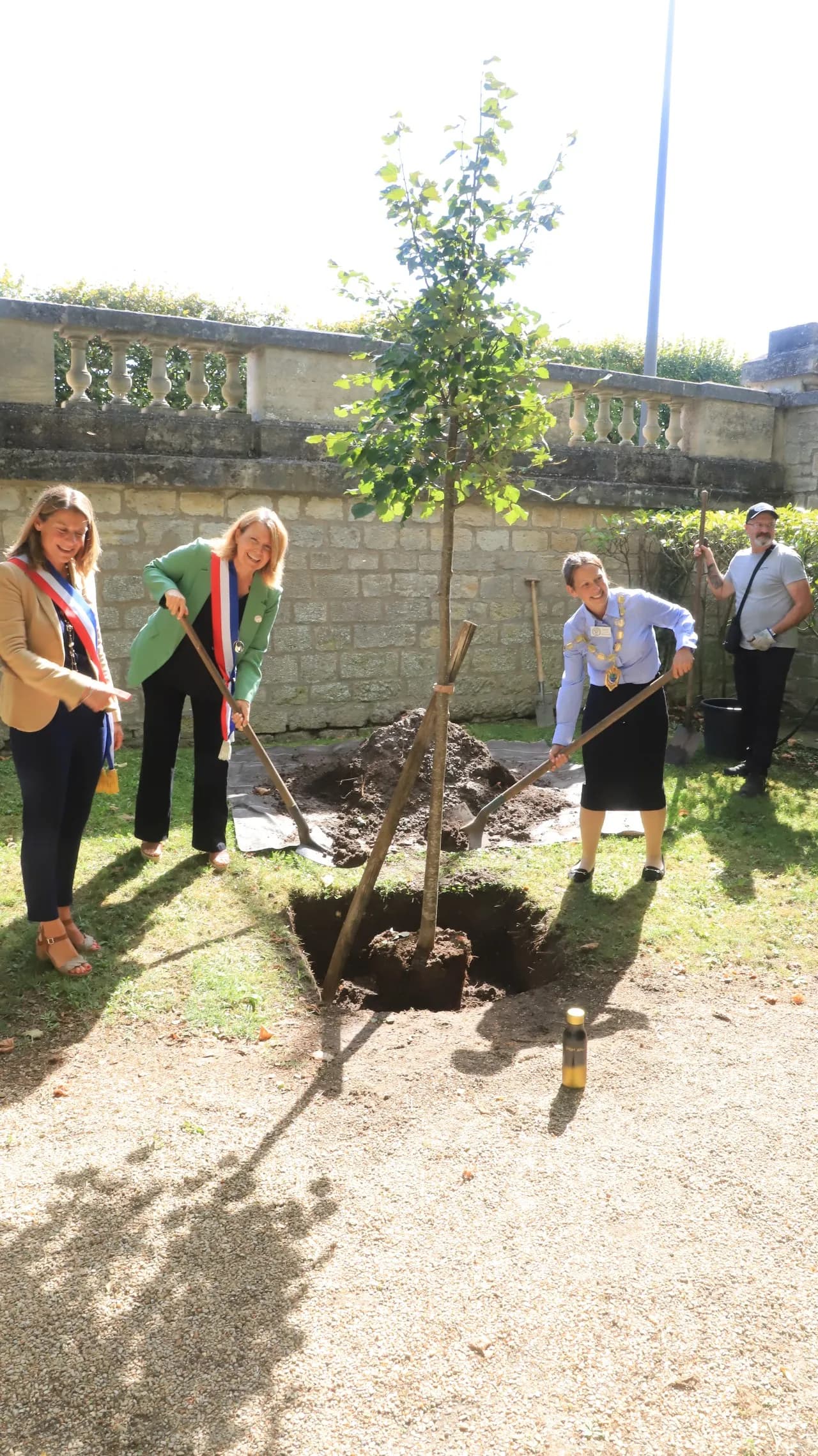 Tree planting